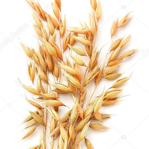 Whole oats 300 - whole, oats,