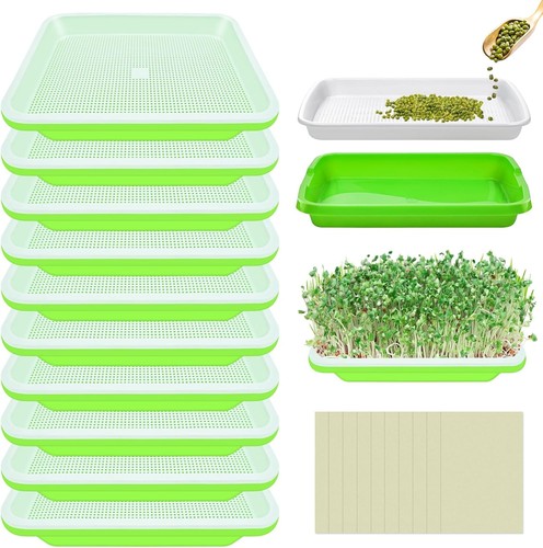 Complete sets seed - 12,