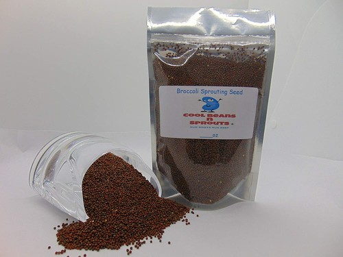 Broccoli seeds for sprouting - seeds,